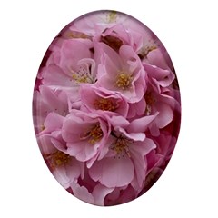 Cherry-blossoms Oval Glass Fridge Magnet (4 Pack)