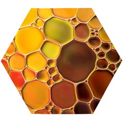 Abstract Oil Painting Wooden Puzzle Hexagon by Excel