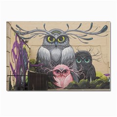 Graffiti Owl Design Postcards 5  X 7  (pkg Of 10) by Excel