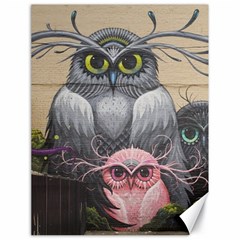 Graffiti Owl Design Canvas 18  X 24  by Excel