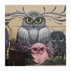 Graffiti Owl Design Medium Glasses Cloth (2 Sides) by Excel