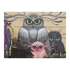 Graffiti Owl Design Two Sides Premium Plush Fleece Blanket (mini) by Excel