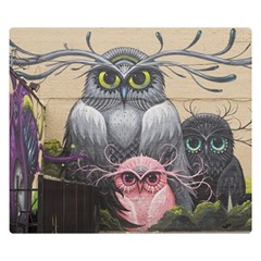 Graffiti Owl Design Two Sides Premium Plush Fleece Blanket (small) by Excel