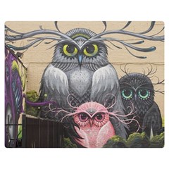 Graffiti Owl Design Two Sides Premium Plush Fleece Blanket (medium) by Excel