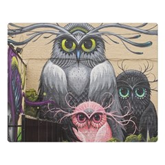 Graffiti Owl Design Two Sides Premium Plush Fleece Blanket (large) by Excel