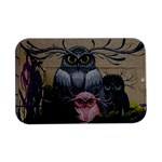 Graffiti Owl Design Open Lid Metal Box (Silver)   Front