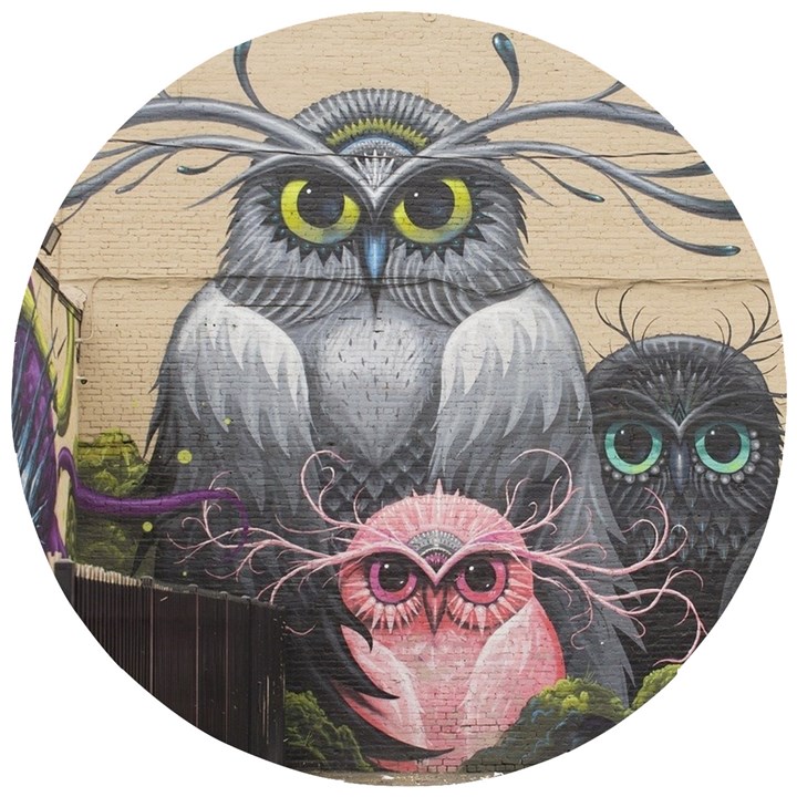 Graffiti Owl Design Wooden Puzzle Round