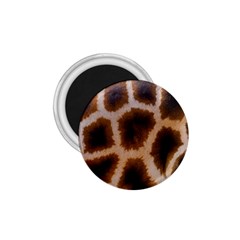 Giraffe Skin Design 1 75  Magnets by Excel