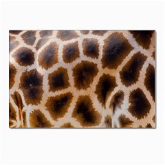 Giraffe Skin Design Postcards 5  X 7  (pkg Of 10)