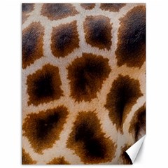 Giraffe Skin Design Canvas 18  X 24  by Excel