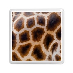 Giraffe Skin Design Memory Card Reader (square) by Excel