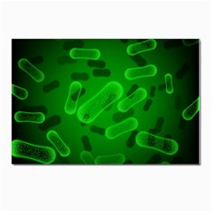 Green-rod-shaped-bacteria Postcard 4 x 6  (pkg Of 10) by Simbadda