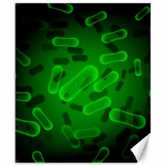 Green-rod-shaped-bacteria Canvas 20  X 24  by Simbadda