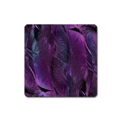 Feather Pattern Texture Form Square Magnet by Grandong