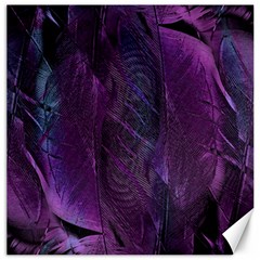 Feather Pattern Texture Form Canvas 16  X 16  by Grandong