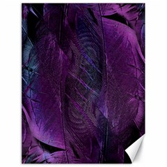 Feather Pattern Texture Form Canvas 18  X 24  by Grandong