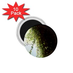 Branch Plant Shrub Green Natural 1 75  Magnets (10 Pack)  by Grandong