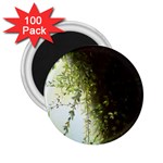 Branch Plant Shrub Green Natural 2.25  Magnets (100 pack)  Front