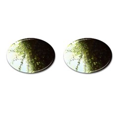 Branch Plant Shrub Green Natural Cufflinks (oval) by Grandong