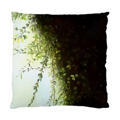 Branch Plant Shrub Green Natural Standard Cushion Case (two Sides) by Grandong