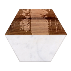 Moonlit A Forest At Night With A Full Moon Marble Wood Coaster (hexagon) 