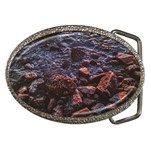 Twilight Treasures: Rocky Beachscape  Belt Buckles Front