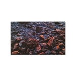 Twilight Treasures: Rocky Beachscape  Sticker Rectangular (100 pack) Front