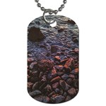 Twilight Treasures: Rocky Beachscape  Dog Tag (Two Sides) Back