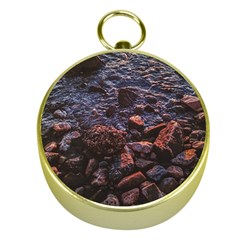 Twilight Treasures: Rocky Beachscape  Gold Compasses by dflcprintsclothing