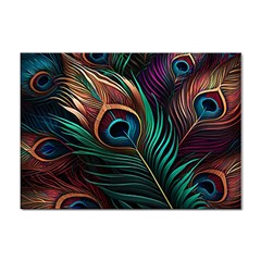 Peacock Feathers Nature Feather Pattern Sticker A4 (100 Pack) by pakminggu