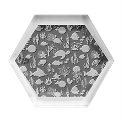 Variety Of Fish Illustration Turtle Jellyfish Art Texture Hexagon Wood Jewelry Box by Bangk1t