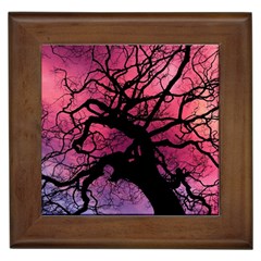 Trees Silhouette Sky Clouds Sunset Framed Tile by Bangk1t