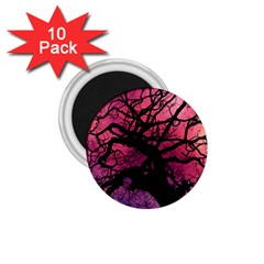 Trees Silhouette Sky Clouds Sunset 1 75  Magnets (10 Pack)  by Bangk1t