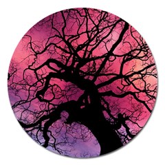 Trees Silhouette Sky Clouds Sunset Magnet 5  (round)