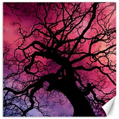 Trees Silhouette Sky Clouds Sunset Canvas 20  X 20 