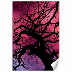 Trees Silhouette Sky Clouds Sunset Canvas 20  X 30 