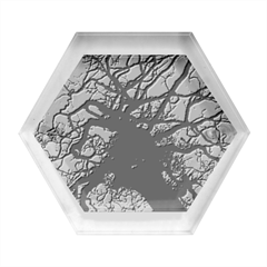 Trees Silhouette Sky Clouds Sunset Hexagon Wood Jewelry Box by Bangk1t