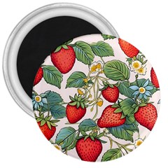 Strawberry Fruit 3  Magnets by Amaryn4rt