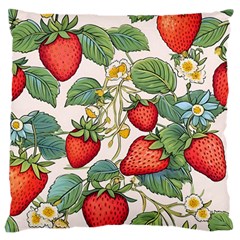 Strawberry Fruit Standard Premium Plush Fleece Cushion Case (one Side) by Amaryn4rt