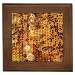 Bees Nature Animals Honeycomb Framed Tile by pakminggu