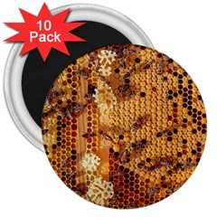 Bees Nature Animals Honeycomb 3  Magnets (10 Pack)  by pakminggu