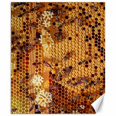 Bees Nature Animals Honeycomb Canvas 8  X 10  by pakminggu