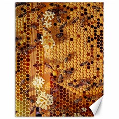 Bees Nature Animals Honeycomb Canvas 12  X 16  by pakminggu