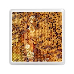 Bees Nature Animals Honeycomb Memory Card Reader (square) by pakminggu