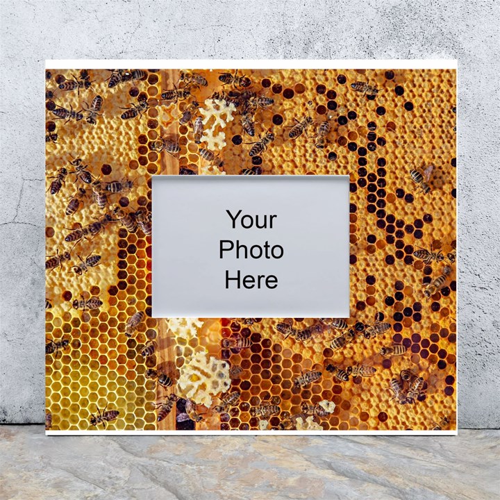 Bees Nature Animals Honeycomb White Wall Photo Frame 5  x 7 