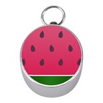 Watermelon Fruit Summer Red Fresh Food Healthy Mini Silver Compasses Front