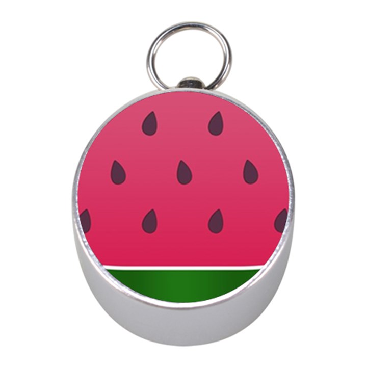 Watermelon Fruit Summer Red Fresh Food Healthy Mini Silver Compasses