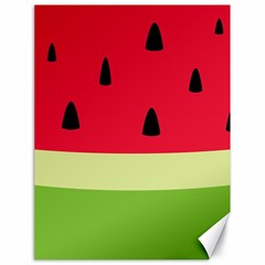 Watermelon Fruit Food Healthy Vitamins Nutrition Canvas 18  X 24  by pakminggu