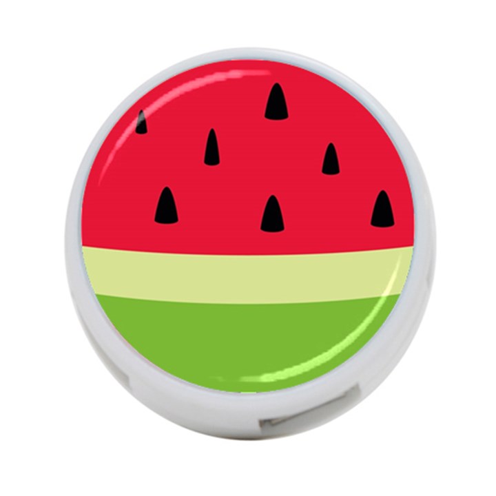 Watermelon Fruit Food Healthy Vitamins Nutrition 4-Port USB Hub (Two Sides)