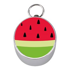 Watermelon Fruit Food Healthy Vitamins Nutrition Mini Silver Compasses by pakminggu